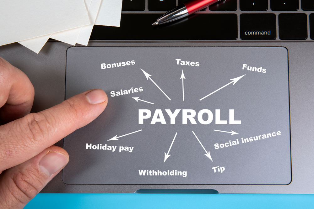 payroll services - Mintopps